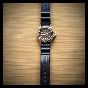 citizen promaster ladies diver